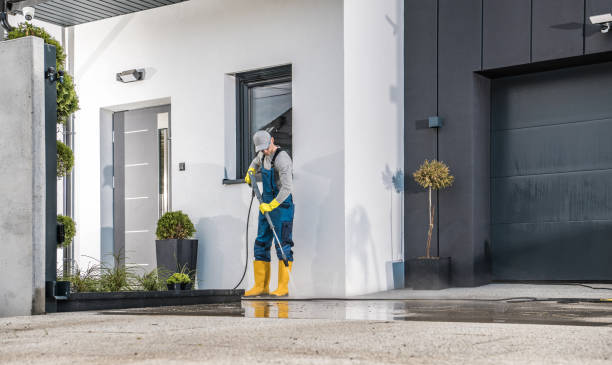 Best Rust Removal  in Ridgeway, AK